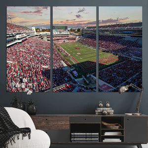 Donald W. Reynolds Razorback Stadium Wall Art Canvas Print –
