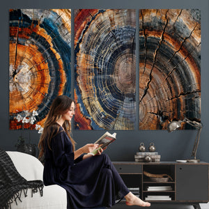 Tree Ring Triptych Canvas Wall Art — Set of 3 Wood Grain