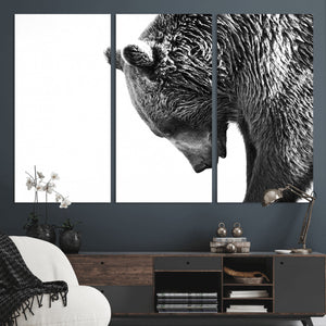 Black and White Grizzly 399 Bear Canvas Print Wall Art |
