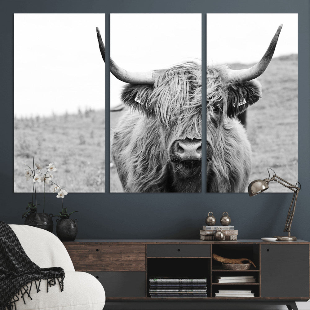 Newfoundland Cow Art Wall Art, Black White Cow Art Wall Art