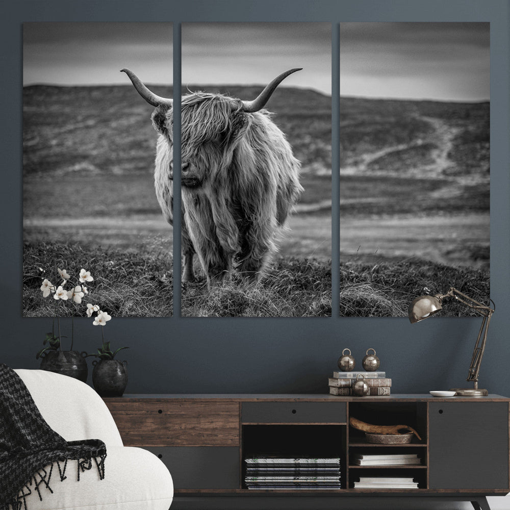 Fluffy Cattle Wall Art Print, Highland Cow Canvas, Framed
