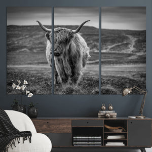 Fluffy Cattle Wall Art Print, Highland Cow Canvas, Framed
