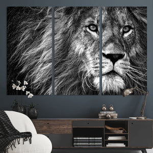 Black and White Lion Canvas Wall Art Print – Wildlife