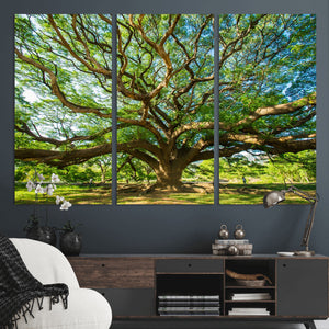 Majestic Oak Tree Wall Art – Serene Nature Canvas Print with