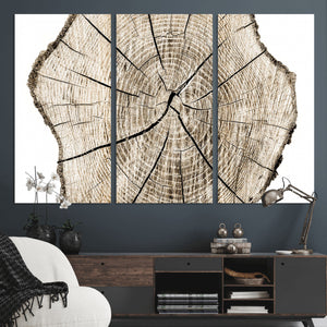 Abstract Wood Tree Ring Wall Art - Ready to Hang Minimalist