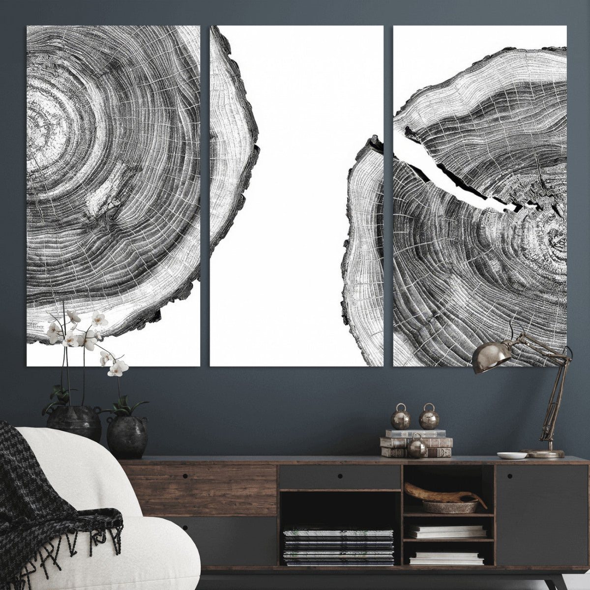 Abstract Large Tree Rings – Minimalist Black and White Wood