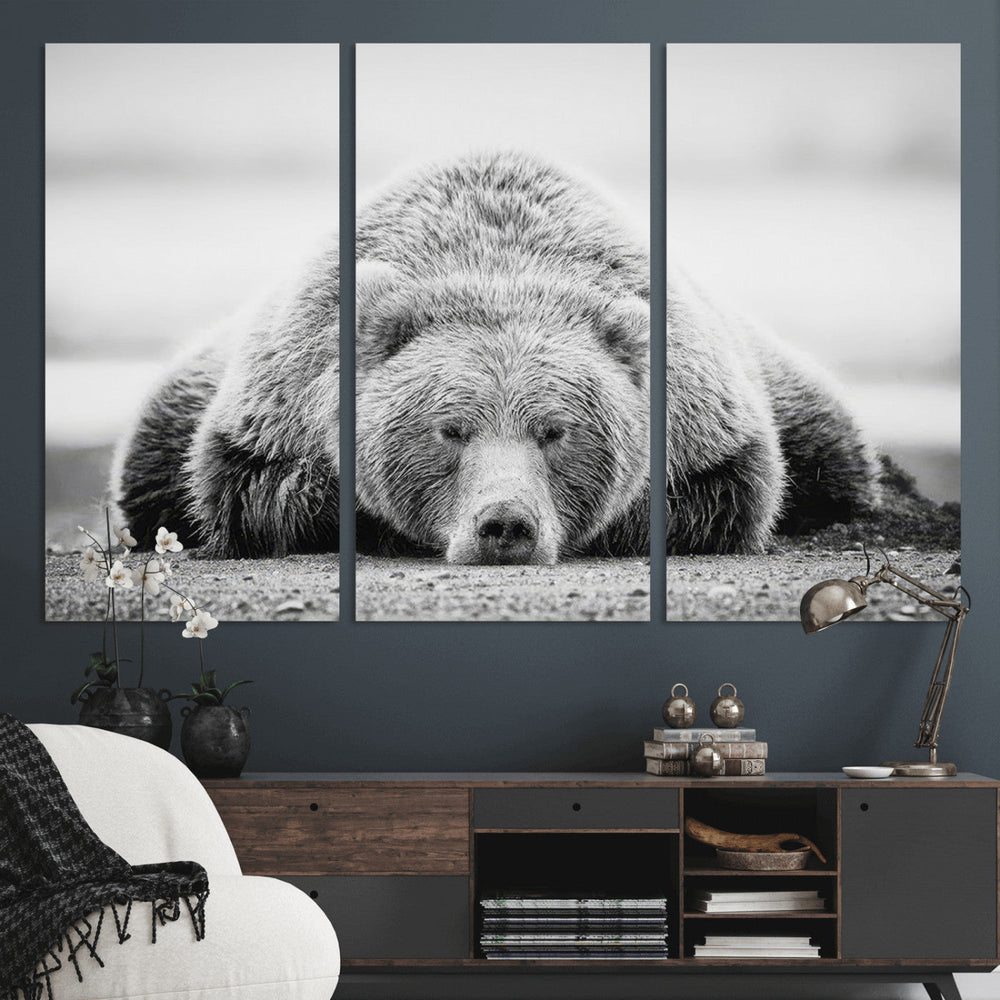Resting Grizzly Bear Wall Art Canvas Print – Majestic Lazy