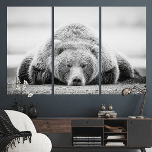 Resting Grizzly Bear Wall Art Canvas Print – Majestic Lazy