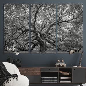 Majestic Angel Oak Tree Black and White Canvas Print – Multi