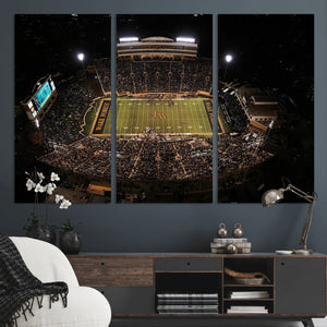 Wake Forest University Demon Deacons Canvas Printi, Football