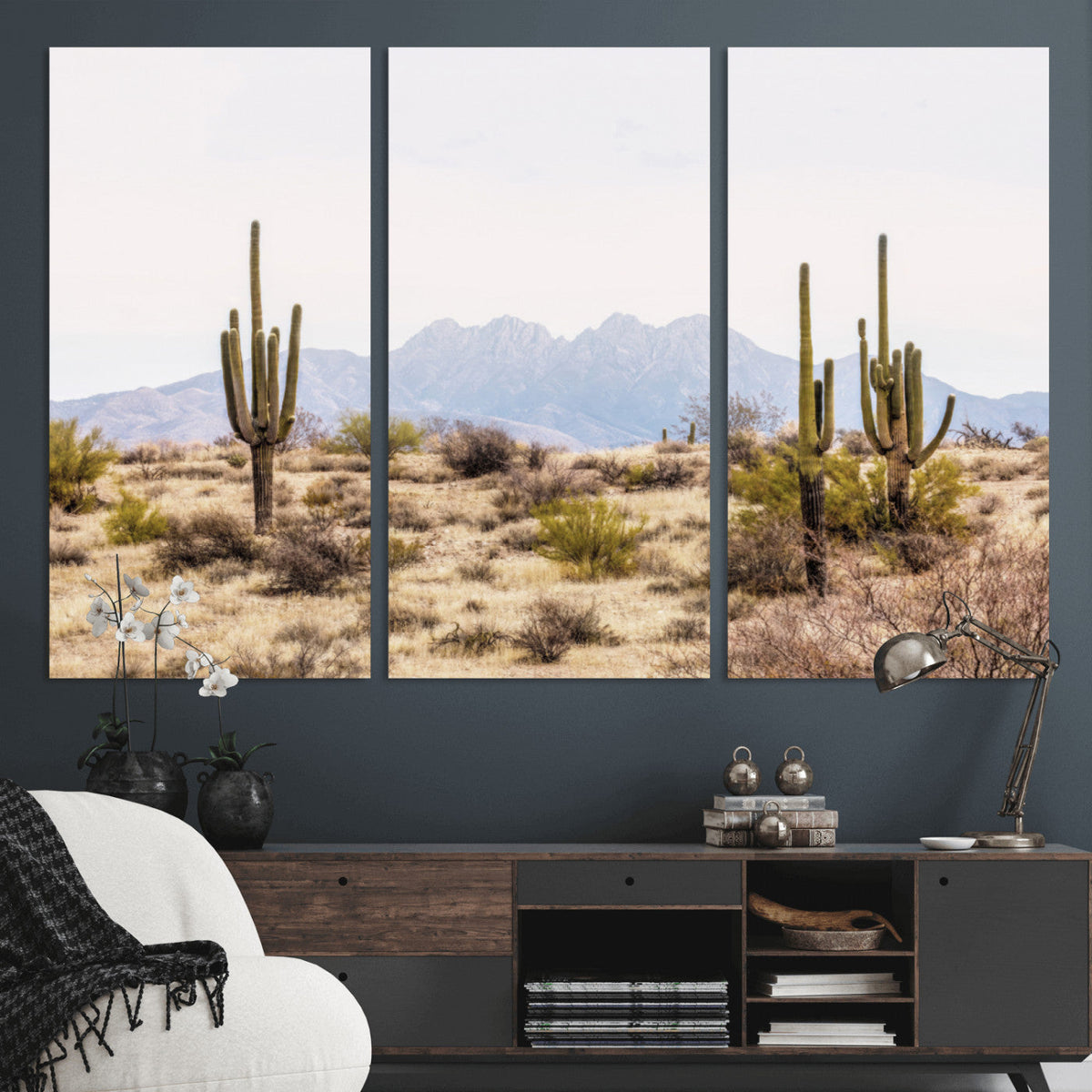 Arizona Desert Wall Art Print | Arizona Desert Canvas Print