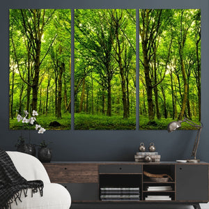 Lush Green Forest Canvas Print | 3-Panel Forest Wall Art |