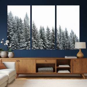 Misty Mountain Forest Canvas Print, Foggy Pine Trees Nature
