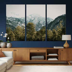 Mountain Forest Wall Art Canvas Print, Alpine Landscape