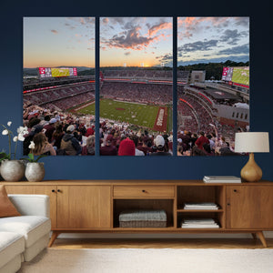 Donald W. Reynolds Razorback Stadium Wall Art Canvas Print –