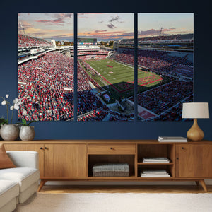 Donald W. Reynolds Razorback Stadium Wall Art Canvas Print –