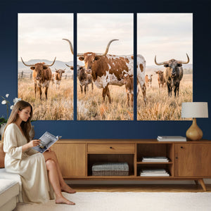 Texas Longhorn Canvas Wall Art, Rustic Farm Animal Photography Print, Farmhouse Country Decor, Western Ranch Art