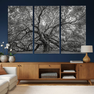Majestic Angel Oak Tree Black and White Canvas Print – Multi