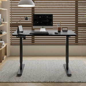 Polaris Electric Standing Desk - 55"×24"