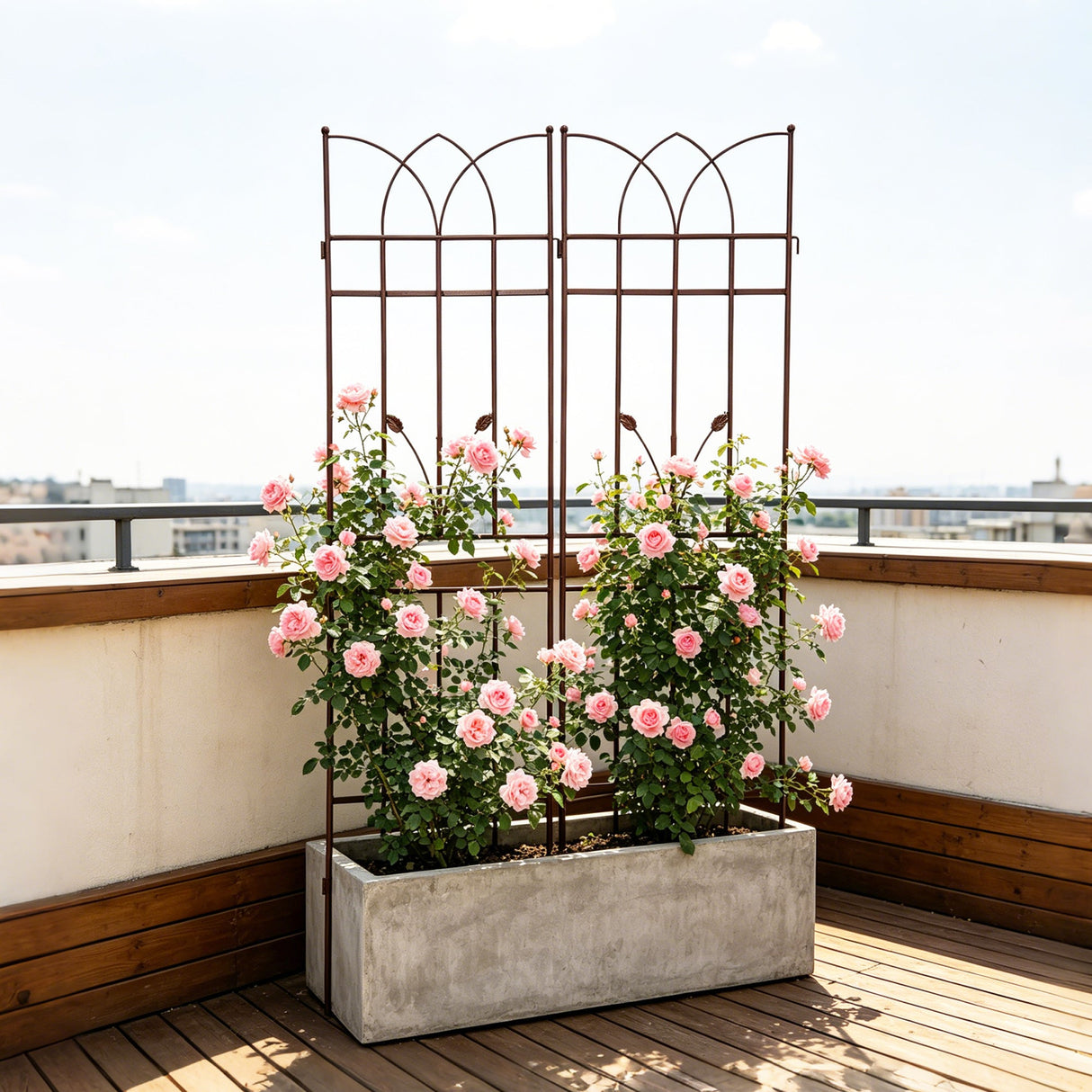 2 Pack Metal Garden Trellis