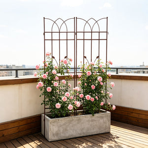 2 Pack Metal Garden Trellis