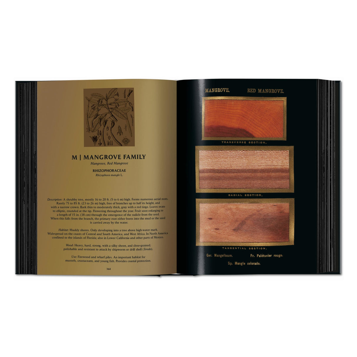Romeyn B. Hough. The Woodbook. The Complete Plates (English)