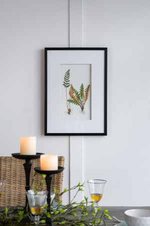 Verdant Grace™ — Elegant Fern Print Set