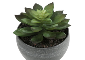Artificial Succulent Plants (Set of 3)