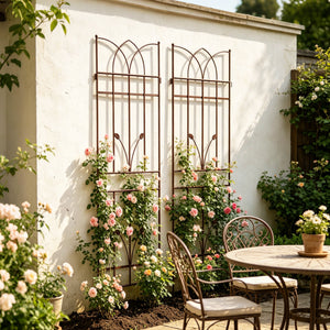 2 Pack Metal Garden Trellis