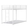 Adam - Metal Bunk Bed