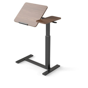Mobile Adjustable Standing Desk