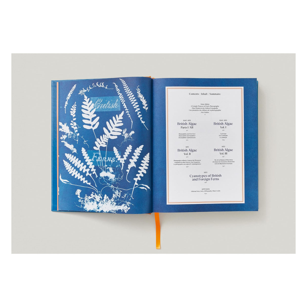 Anna Atkins. Cyanotypes (German, French, English) (FFE)