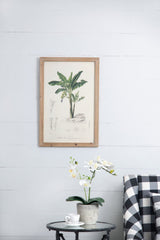 Tree Framed Print Set of 2 - Multicolor Botanical Wall Art