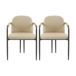 Modern Dining Chair Set of 2 with Iron Frame - Espresso / Khaki