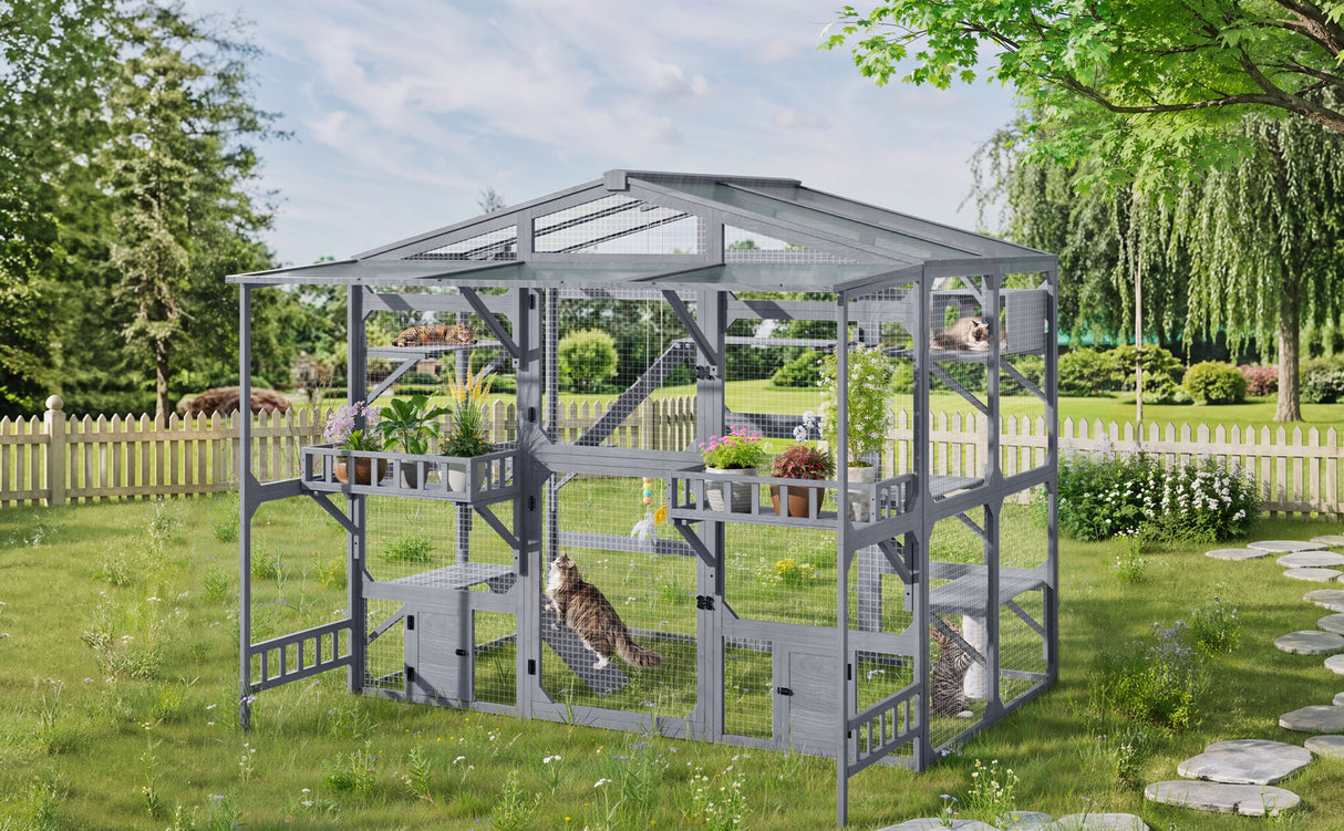 Large Outdoor Catio for 6-10 Cats