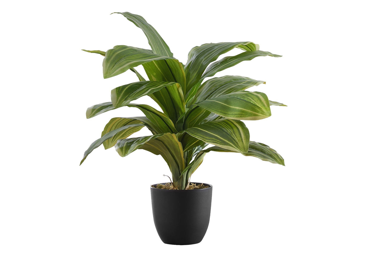 17" Tall Artificial Dracaena Plant