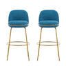 Rio Claro Indoor Upholstered Barstool (Set of 2)