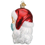 Doctor Santa Figurine with Mask for Christmas Decor