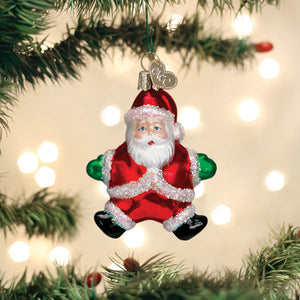 Small-Silly-Santa-Ornament-Christmas-Ornaments