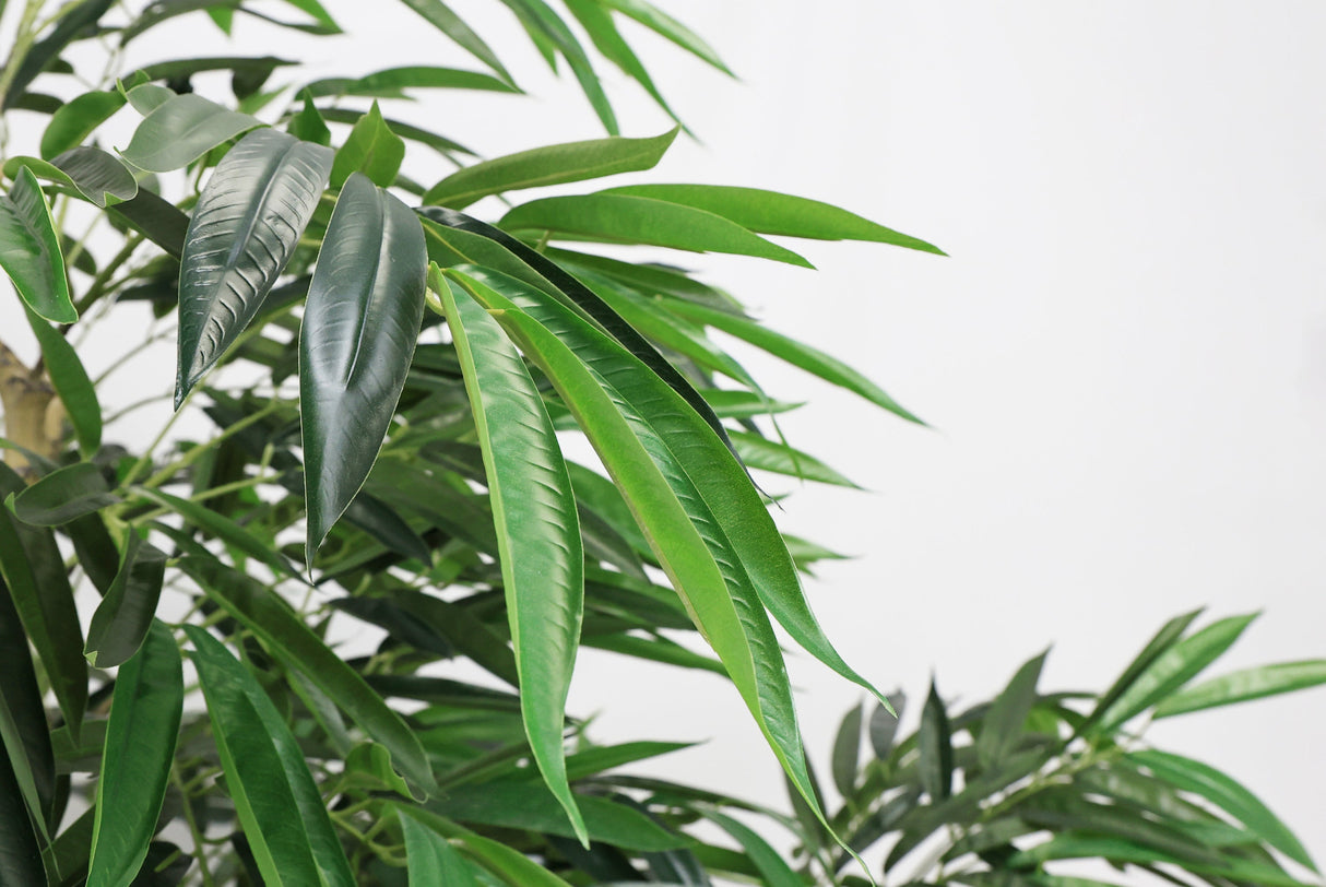 7FT Artificial Willow Tree Indoor Faux Silk Greenery Plant