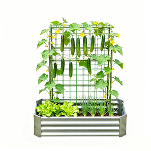 2-in-1 Raised Garden Bed with Trellis