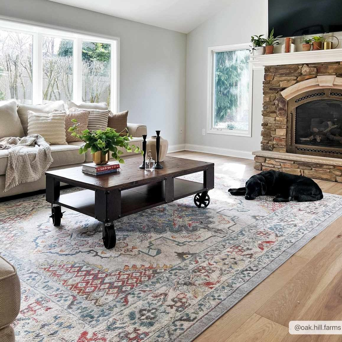 Haymond Area Rug Medium Pile 100% Polypropylene Traditional Rug ...