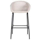 Ladd Outdoor Metal Wicker Barstool Light Gray Faux Wicker Set of 2