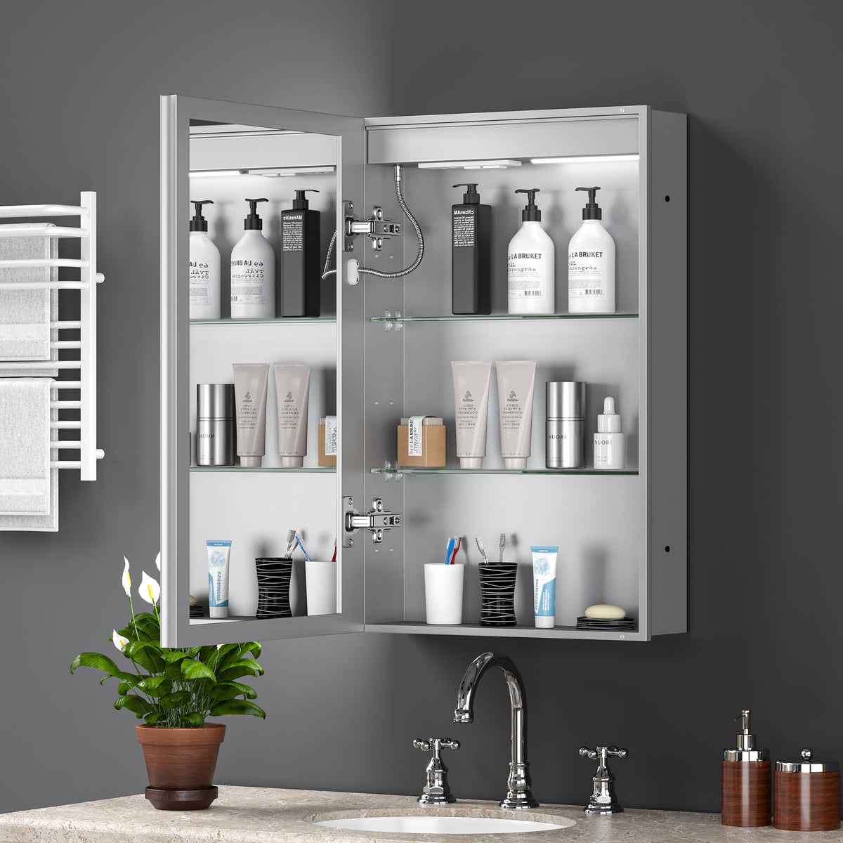 LED Lighted Medicine Cabinet with Mirror, 20"x30"