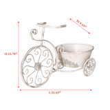 Rustic Bicycle Metal Wire Wall Planter Basket