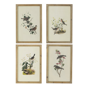 Set of 4 Bird Framed Prints