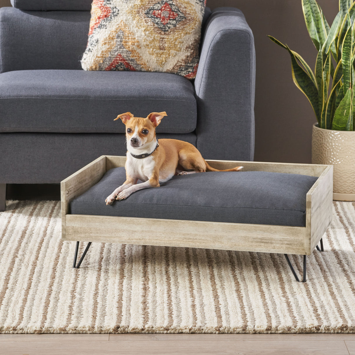 DOG-BED-Pet-Bed