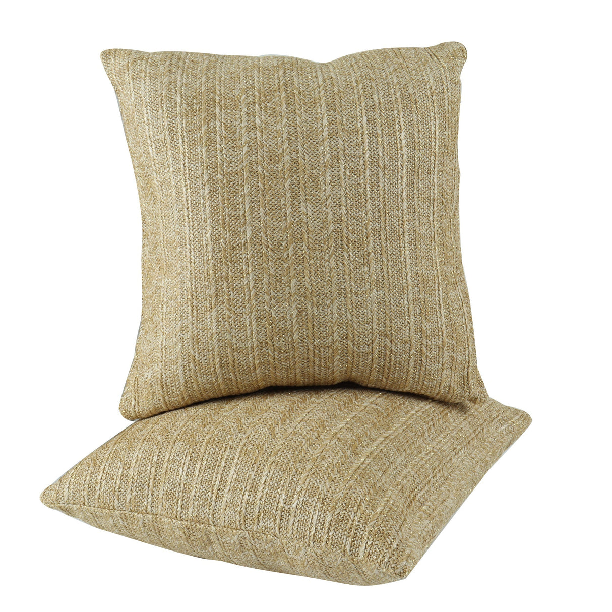 Outdoor/Indoor Decorative Throw Pillows with Inserts (Set of 2)