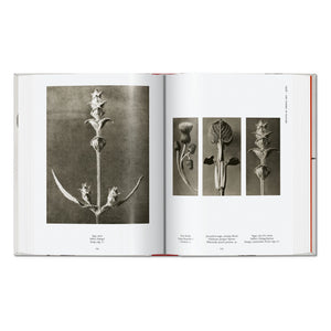 Karl Blossfeldt. The Complete Published Work. 45th Ed. (German, French, English)