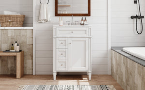 24" Bathroom Vanity with Top Sink